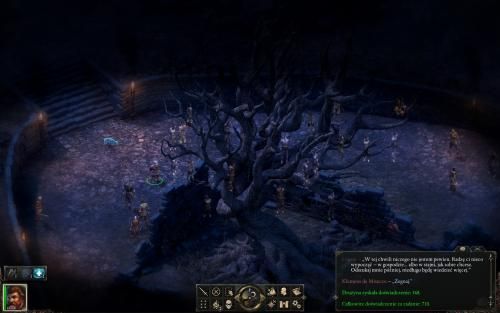 Pillars of Eternity 195230,1